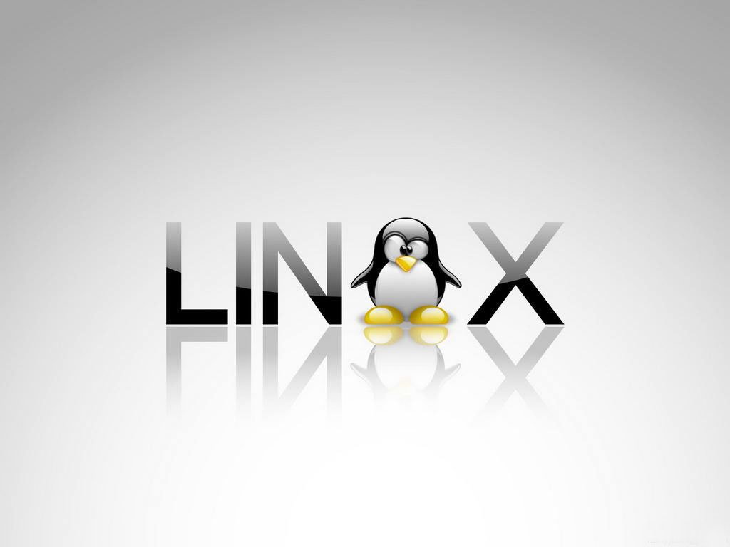 Команда chmod — Linux