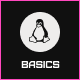 basics linux